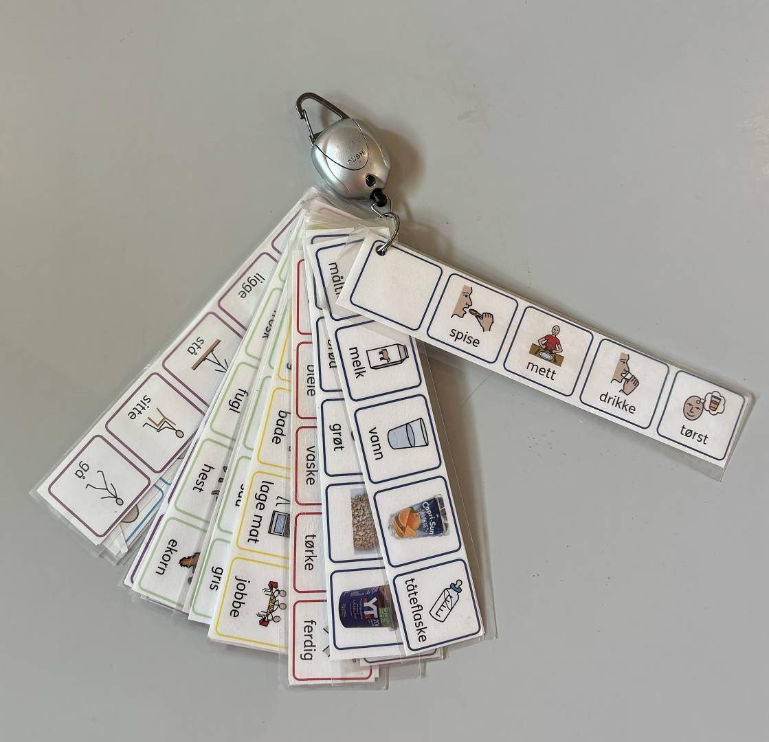 Bilderemser. Foto: Renathe Torp Olsen