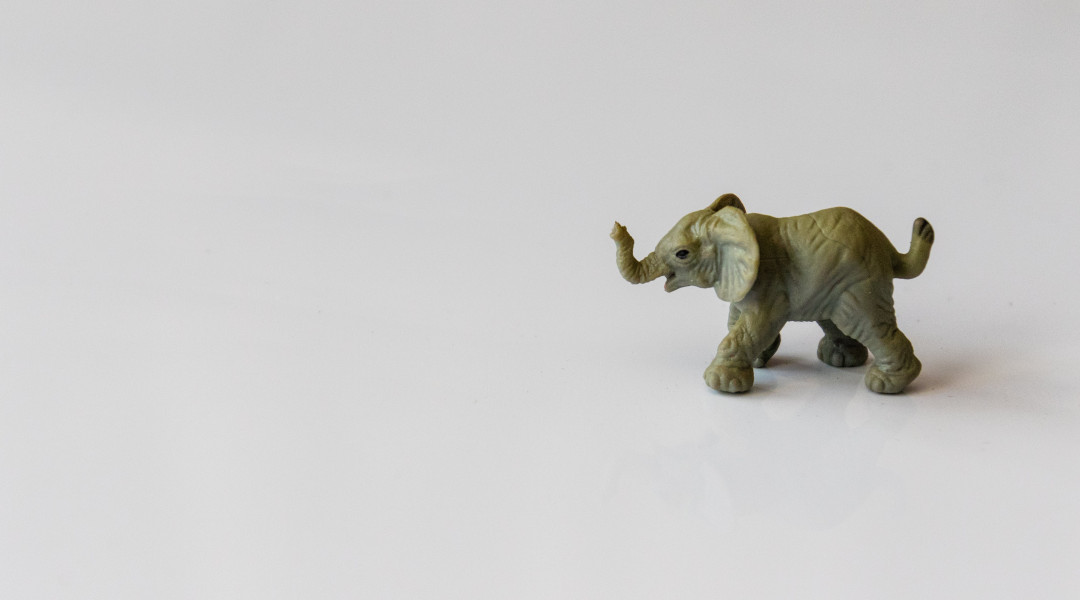 Brukeren, personen og elefanten – Verdiforankring og perspektiver på selvbestemmelse 
